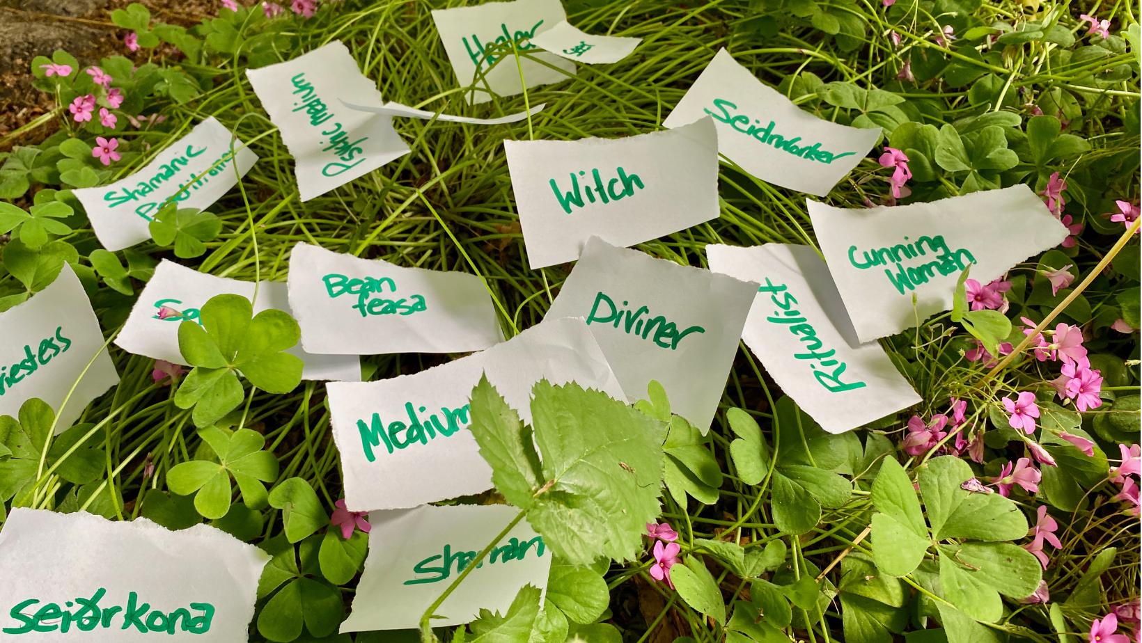 Small torn pieces of paper are scattered in a patch of pink sorrel. The papers read witch, Volva, Seidrkona, diviner, healer, bean feasa, spirit worker, shaman, etc.